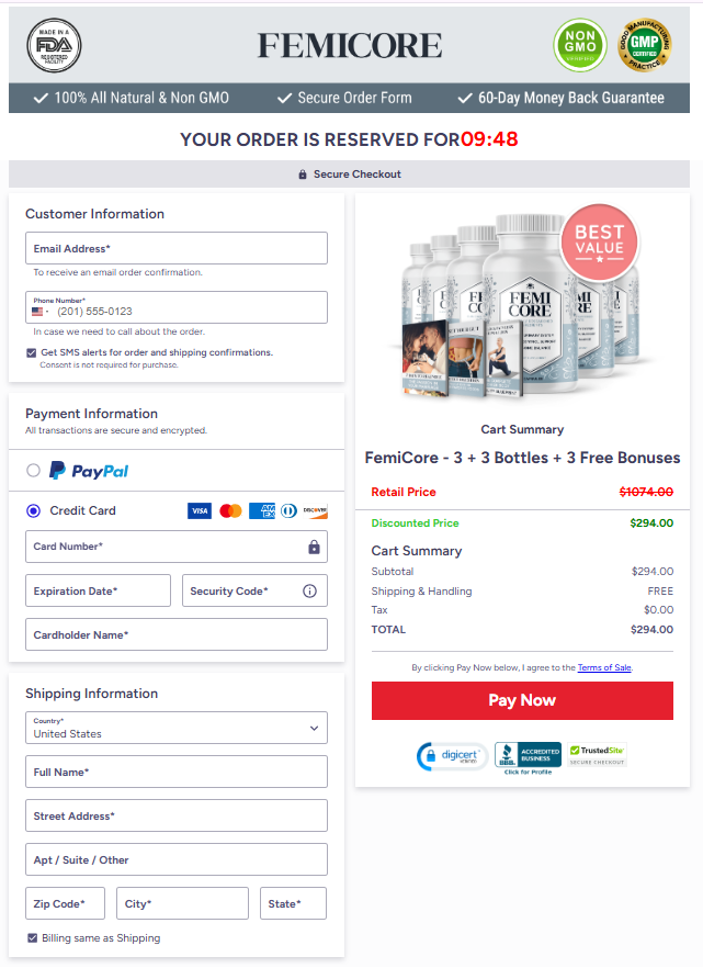 FemiCore secure checkout page preview